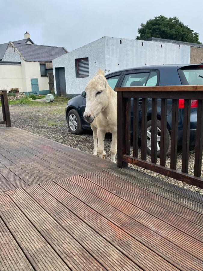 Farm Stay Property Pets And Families Welcome Rossnowlagh Ngoại thất bức ảnh