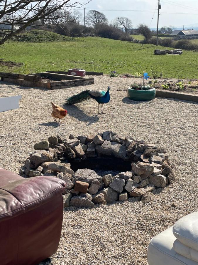 Farm Stay Property Pets And Families Welcome Rossnowlagh Ngoại thất bức ảnh